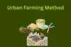 Urban Farming Methods: A  Helpful Guide for Modern City Growers - Post Thumbnail