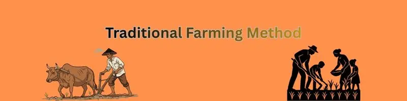tradional farming method