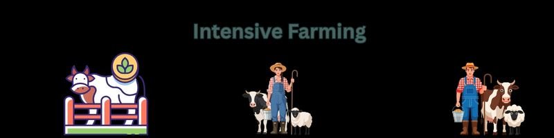 intensive farming