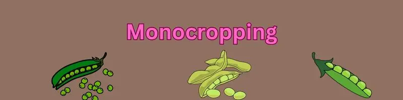 Monocropping