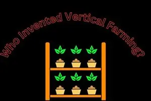 Who Invented Vertical Farming? A Simple & Powerful Guide for Everyone