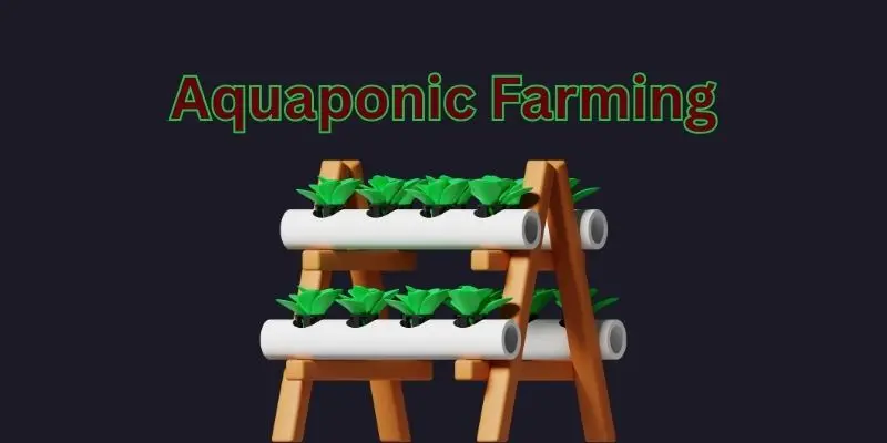 aquaponic farming