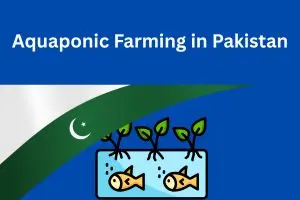 Aquaponic Farming in Pakistan: Zero-Waste, High-Profit Food Production Explained
