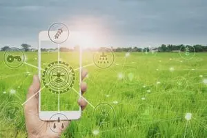 GIS in Agriculture: Best Practices for AgriTech Leaders