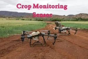 Crop Monitoring Sensors:  Making Farms Smarter